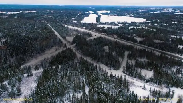 More high grades at New Found Gold’s Queensway project in Newfoundland